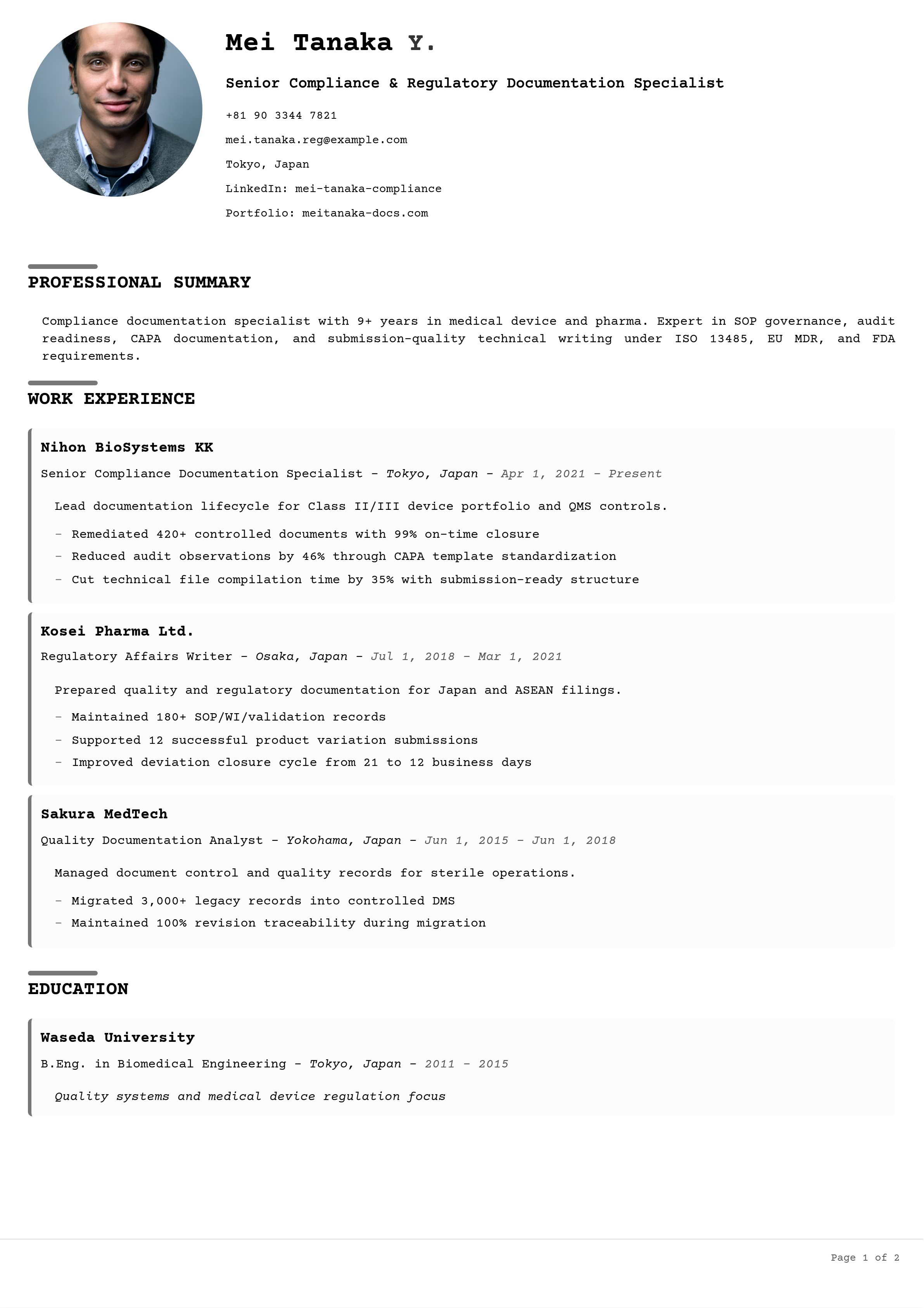 Professional resume template